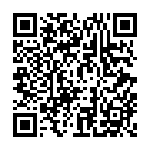 有一日张潇晗在修炼中忽然感觉到小不点的变化二维码生成