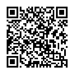 有一百个顶级学者就是一百个顶级实验室――在欧美国家二维码生成