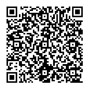 有不少人都纷纷表示他们看这场比赛看的热泪盈眶――什么时候中国队的比赛也能让他们看的这么安心啊二维码生成