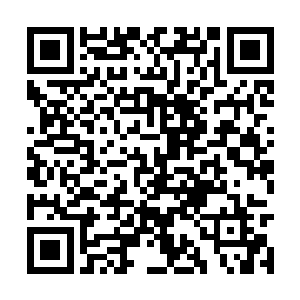 有了此令牌就可以让杨晨随时随地处于安全的状态二维码生成