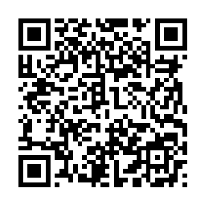 有些人已经把这些种子当成是王牌在使用和树立了二维码生成