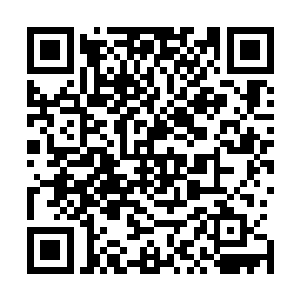 有些药材在采购阶段就因为回扣或愚蠢的原因而发生了变化二维码生成