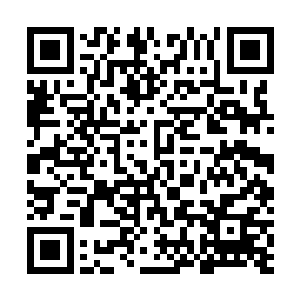 有人会愿意用这个家可爱的儿女们去换自己的单身生活吗二维码生成