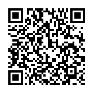 有大祭司的支持也难以夺得蛊主的位置得到所有人的认同二维码生成