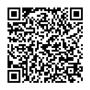 有张铁留给兰云曦的一万多支在黑铁之堡里面发酵的最好的全效药剂二维码生成