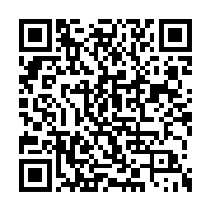 有很多炼丹师学徒和炼器师学徒在这里寻找材料二维码生成