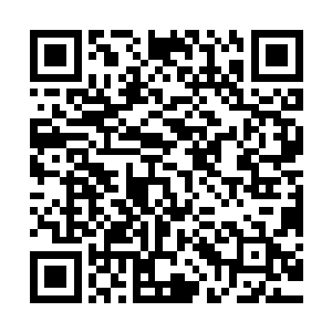 有很多的自由武者其实都很愿意找一个有前途的家族和主人投靠二维码生成