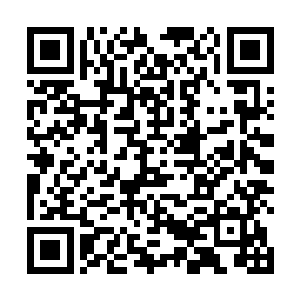 有心人在圣上面前将杨继盛的奏疏与二王牢牢绑在一起二维码生成