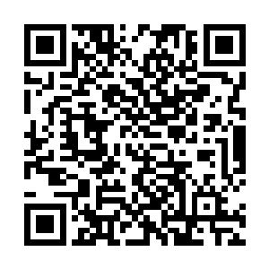 有时会看到他站在树下微微抬头盯着一片树叶静默许久二维码生成