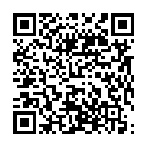 有时候甚至要为了世家的利益而白白付出生命的代价二维码生成