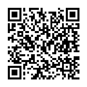 有时候看到凯撒的转向奔跑也不过是条件反射而已二维码生成