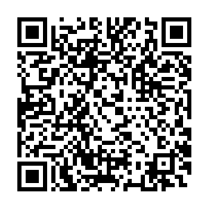 有有几只成年的荒原角鹿正在草甸边上的一片低矮的沙棘下徘徊着二维码生成