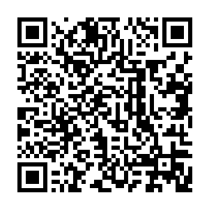 有本地罕见的新鲜瓜果衣料……也有正大光明领了牒的一船船食盐……米粮二维码生成