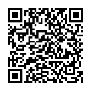 有某种未知的生物撞击了由魔法结成的门扉……二维码生成