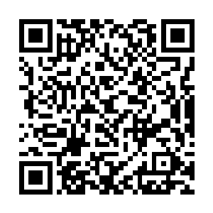 有紫雷印记的波动……就是你……杀了我的儿子……二维码生成