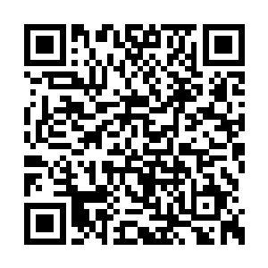 有许多是从前在学校里和朋友们同学们一起拍的二维码生成