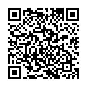 有这两样黑皮仆兽能在三小时内彻底恢复实力出来二维码生成