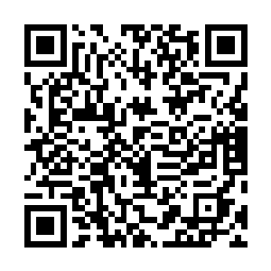 服侍墨景黎的侍从见已经颇晚了皇上还没有唤人进来时候二维码生成