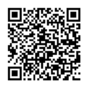 服务员已经殷勤的帮牟晨菲把箱子搬进蓝色越野车里二维码生成