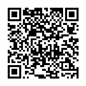 服用之后狂暴的能量对于经脉的冲击可是十分的恐怖的二维码生成