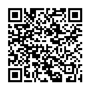 木子和暖玉这才意识到夏儿要用实验基地来做什么二维码生成