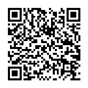 木容和其他几位战宗虽然反应没有莫风他们那么快二维码生成