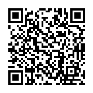 木材厂正在不断加工从广袤森林中源源不断运出的木材二维码生成