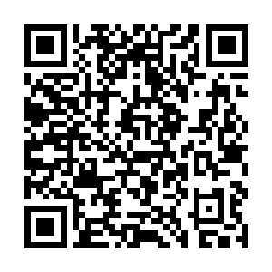 木桶中的青绿色液体就被那些小巨灵兽全部吸取完了二维码生成