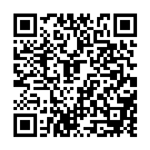 木森的手下因为耗光了丹药和符箓也开始加大伤亡二维码生成