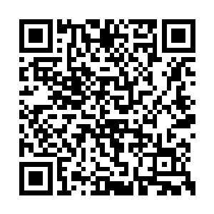 木潇不等家主发问就将此行的目的主动说了出来二维码生成