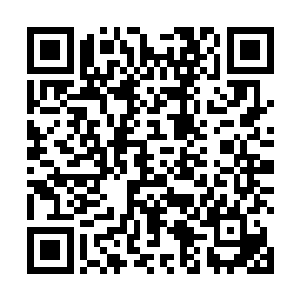 木荣和木羽两个人脸上的神情也是变得更加的呆滞起来二维码生成