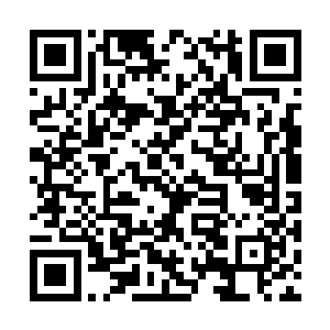 未来的教皇继承人……绝对已经算是教廷核心层了二维码生成