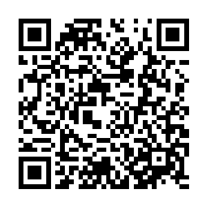 本为对付你这样的修士不需要用到土方宇宙的力量二维码生成