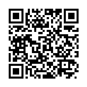 本仙确实没打算他跟随本仙一同前去二维码生成