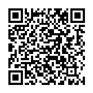 本以为那个秒杀了血尸的半蛇人已经狠到没边儿了……二维码生成