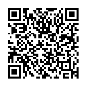 本周其它的所有新片都如同在一头凶猛巨兽下瑟瑟发抖的小绵羊二维码生成