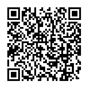 本少爷……绝对……将你……另一条手臂砍下来喂狗逍遥派全文阅读二维码生成