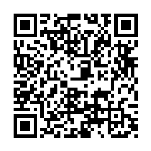 本就消瘦的骨架在月光的照射下更添了一份苍凉二维码生成