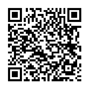 本座也没想到在这个小小的荒僻之地你竟然能够得到如此机缘二维码生成