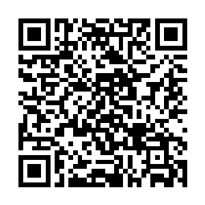 本座倒要看看你到底有什么手段竟然敢如此口出狂言二维码生成
