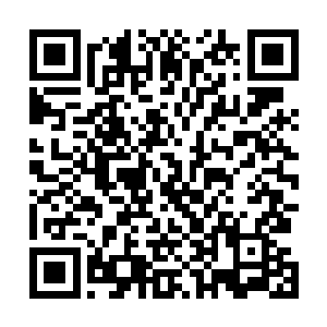 本想着把自己家珍藏的紫灵珠卖掉给爷爷再买些灵参回来二维码生成