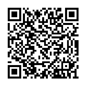 本指南将为被流放者开启智慧生物拯救计划模式二维码生成