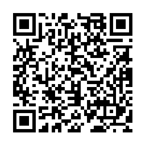 本月投贵宾票前三的兄弟可以得到一大盒蛋姐亲自做的牛轧糖哦二维码生成