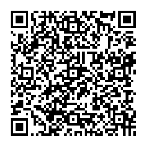 本来借着自家主人吊床下躲雨的小太妹立刻扇着翅膀飞到了一只鹤鸟的身体下把自家小弟的身体当成了临时雨伞二维码生成