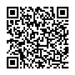本来出席红地毯的记者名单二十世纪福克斯是需要进行审核的二维码生成