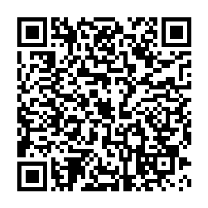 本来因为打仗瘦下去的小熊短短的半个月就被舒婉娘养得又白又胖二维码生成
