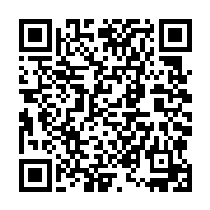 本来在寝室门外站着的咕仔瞬间出现在吴悦儿的鬼魂面前二维码生成