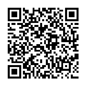 本来我还觉得你们丹界和武道大世界的人多少会有些不一样二维码生成