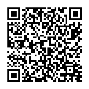 本来极天是很乐意让跟随自己前来的五名散修圣皇出手教训一下烈焰佣兵团二维码生成