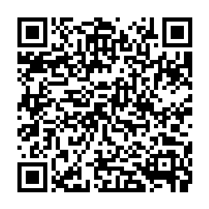 本来考虑到你靖南任上数次守城抗倭以及上次剿灭袭扰应天倭寇的功绩和自理二维码生成